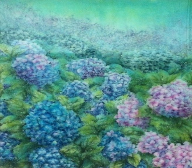 hydrangea