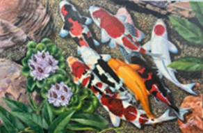 koi-and-water-hyacinth