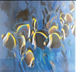 yellow-back-fishes