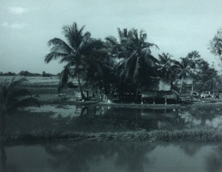 A Kampung in Kedah